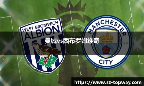 曼城vs西布罗姆维奇